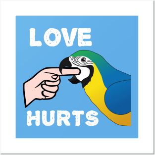 Love Hurts Blue and Gold Macaw Parrot biting Posters and Art